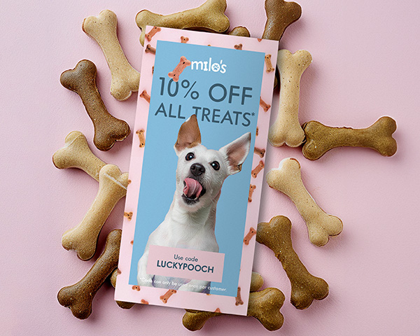 A dog treat company flyer placed on top of many dog treats.