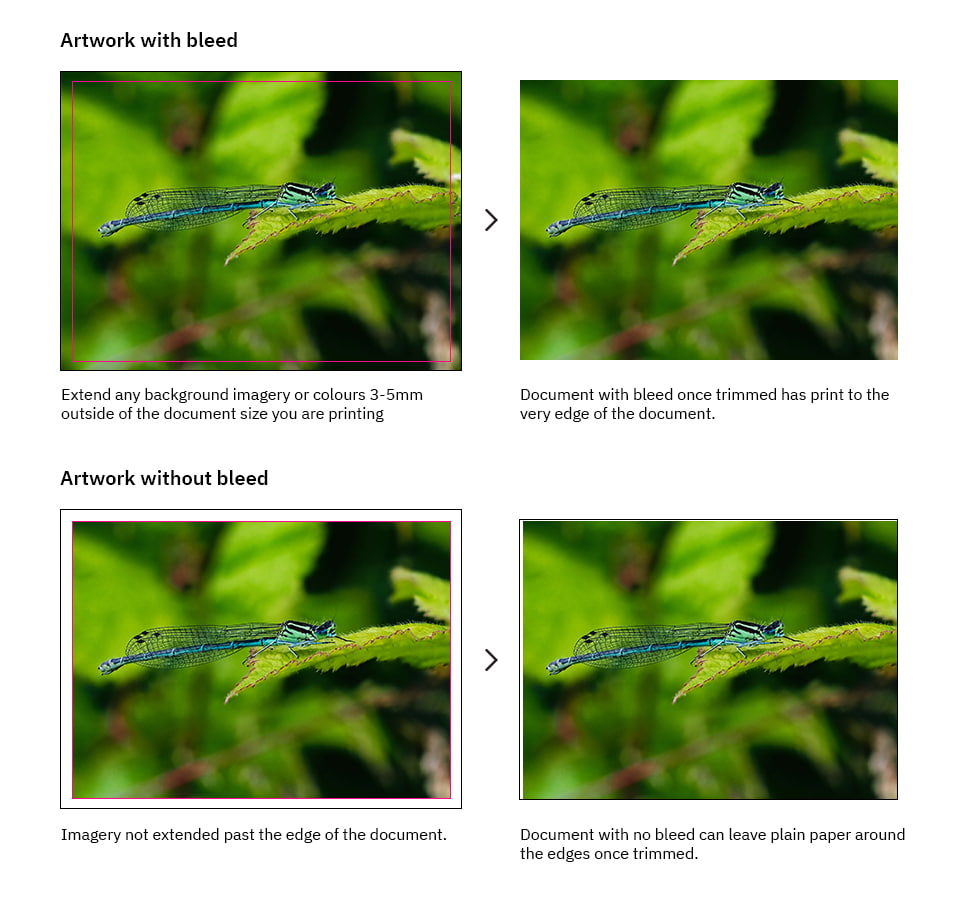 An example of how having bleed ensures designs cover the entire final product.